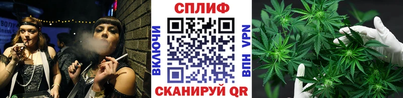 Бошки Шишки конопля  купить наркотик  Зеленоградск 